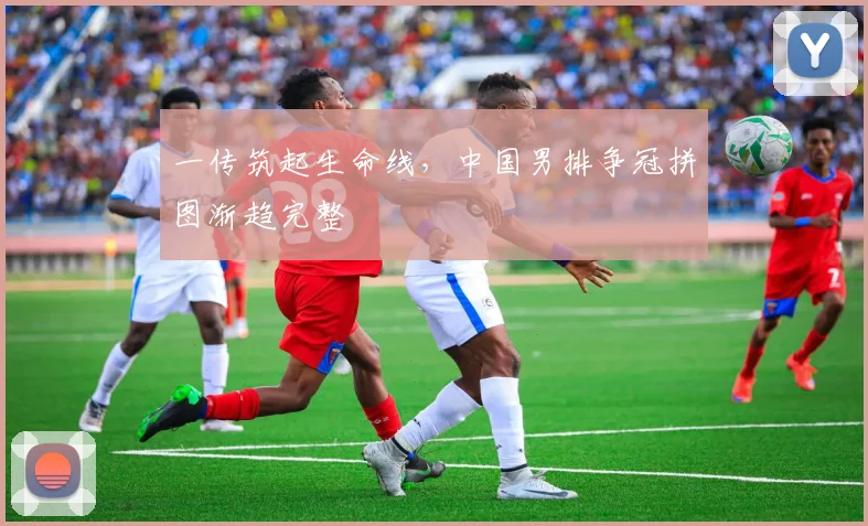 一传筑起生命线，中国男排争冠拼图渐趋完整