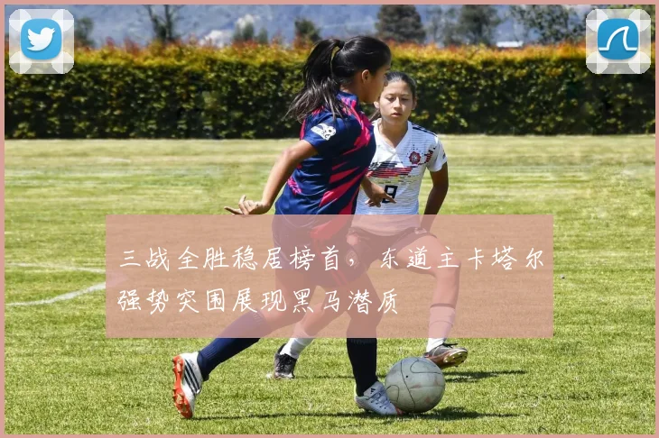 三战全胜稳居榜首，东道主卡塔尔强势突围展现黑马潜质