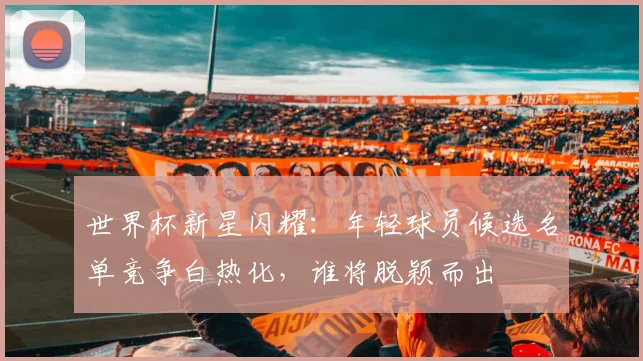 世界杯新星闪耀：年轻球员候选名单竞争白热化，谁将脱颖而出