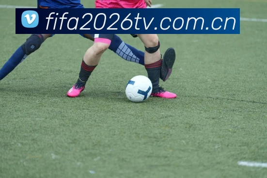 2026世界杯企业概况